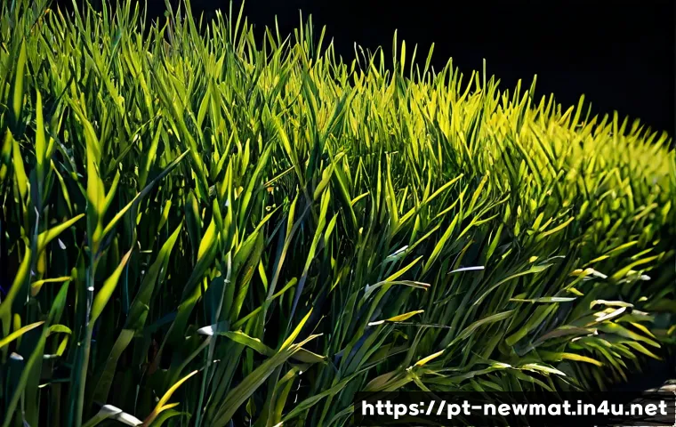 Como avaliar materiais para ecrãs OLED: desempenho, durabilidade e custo industrial 4 OLED 소재 관련 이미지 2